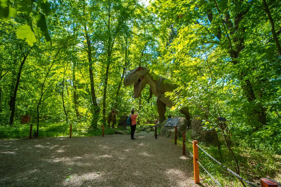 Person photographing large dinosaur sculpture in a lush green forest. Gravel path, bright sunlight, and informational sign visible.