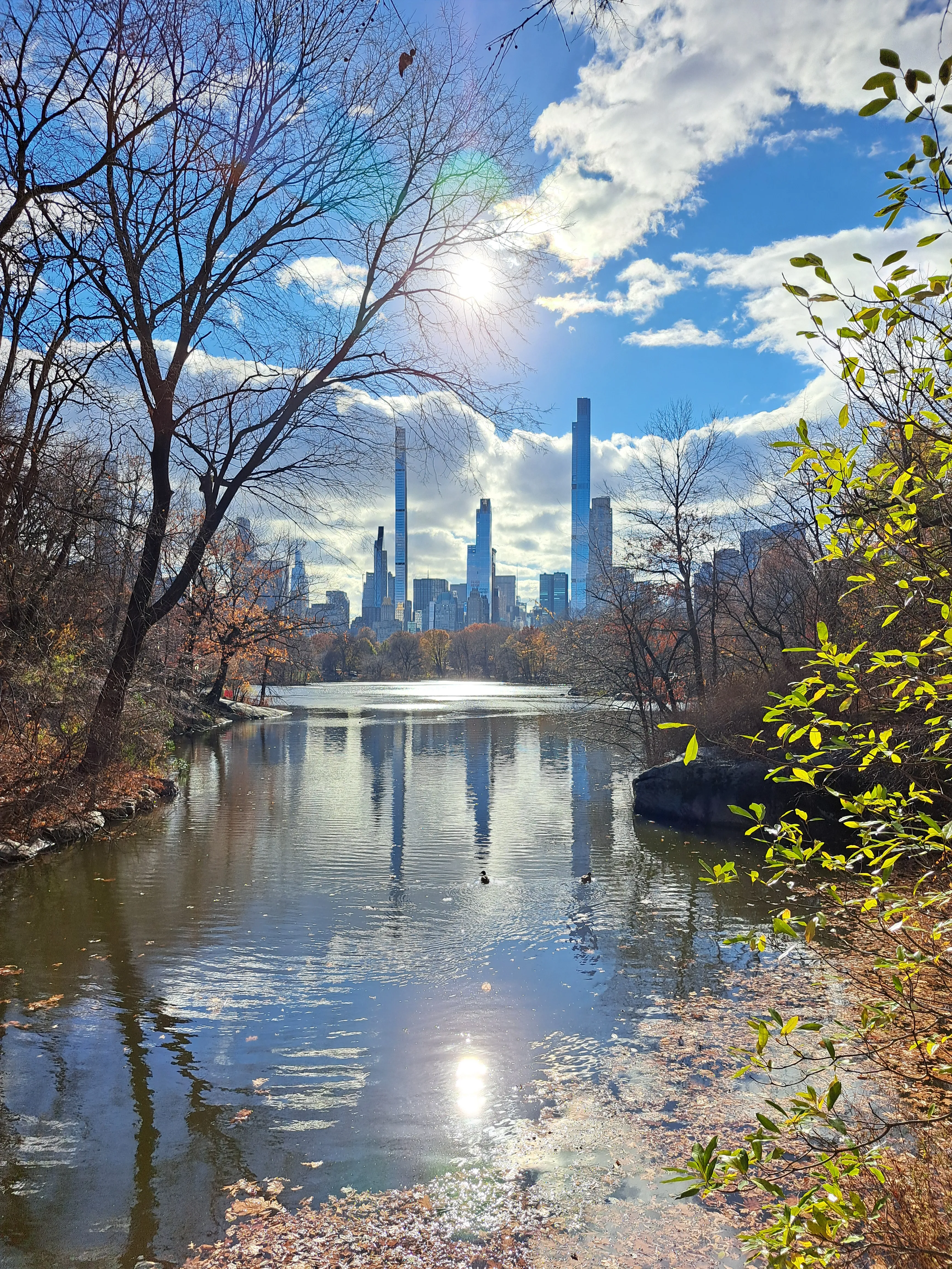 Central Park