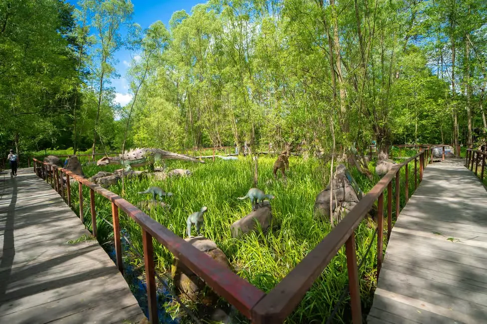 Wooden path with dinosaur sculptures among lush greenery, under a clear blue sky. Person walking on the left. Calm, sunny setting.